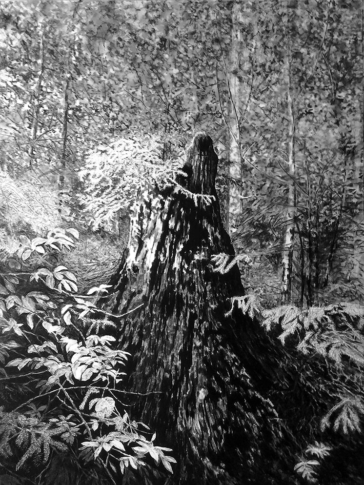 Pascal Levrague - Situation n°60